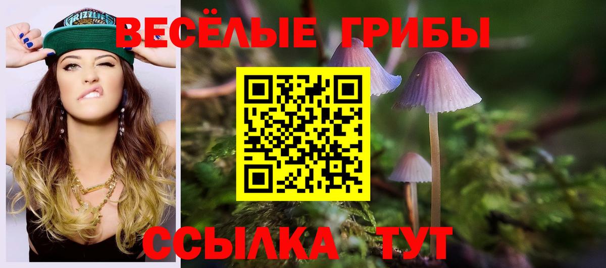 Псилоцибиновые грибы MAGIC MUSHROOMS  где купить наркотик  Псилоцибиновые грибы ЛСД  Рассказово  Вход с VPN 