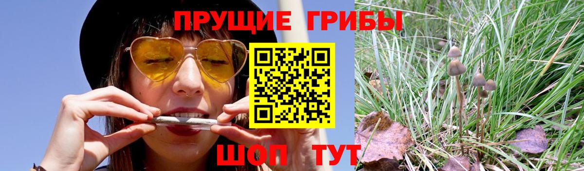 Галлюциногенные грибы ЛСД Рассказово